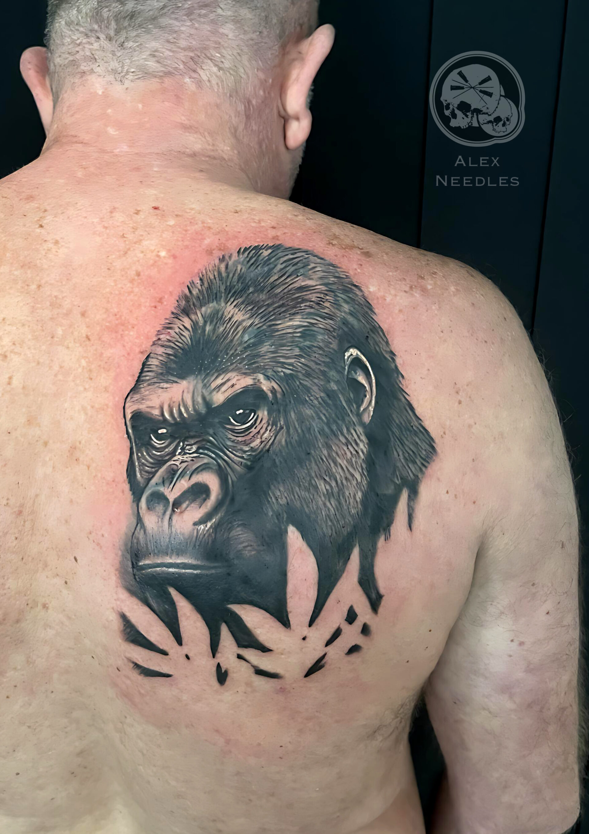 Cover d’un tatouage avec un gorille réaliste en noir et gris sur omoplate – Alex Needles
