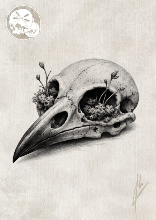 Tatouage crâne de corbeau réaliste avec lichen et mousse en black and grey à Boulogne-sur-Mer (62)