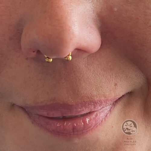 Piercing septum avec Fer à Cheval PVD Gold, réalisé au salon The Needles Factory à Boulogne-sur-Mer