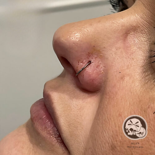 Piercing anneau au nez sur le côté gauche en titane, réalisé par Alex The Needles Factory