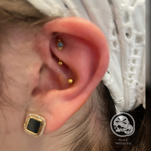 Piercing conche en PVD-GOLD à l'oreille réalisé par Alex The Needles Factory