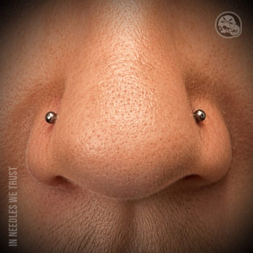 Piercing double nostril titane – Boulogne-sur-Mer (62) | The Needles Factory Piercing double nostril sur le nez à Boulogne-sur-Mer (62) – The Needles Factory