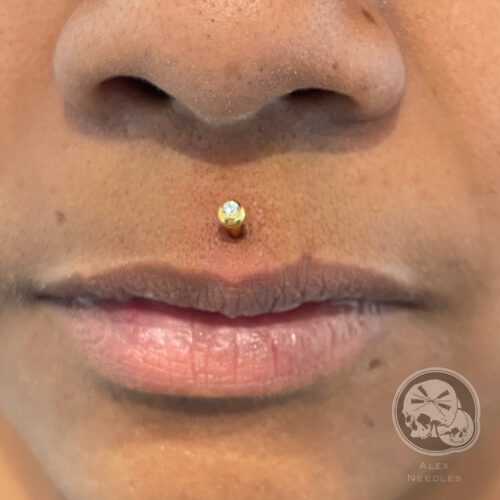 Piercing médusa avec labret PVD Gold et strass brillant – The Needles Factory Boulogne-sur-Mer