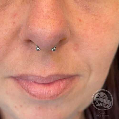 Piercing septum avec fer à cheval en titane hypoallergénique – The Needles Factory Boulogne-sur-Mer