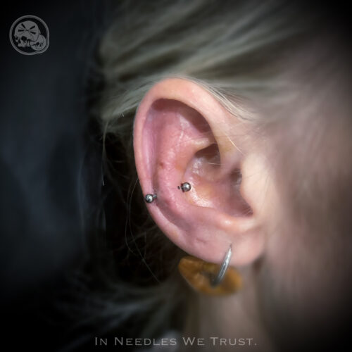 Snug piercing (anti-hélix) en titane – The Needles Factory