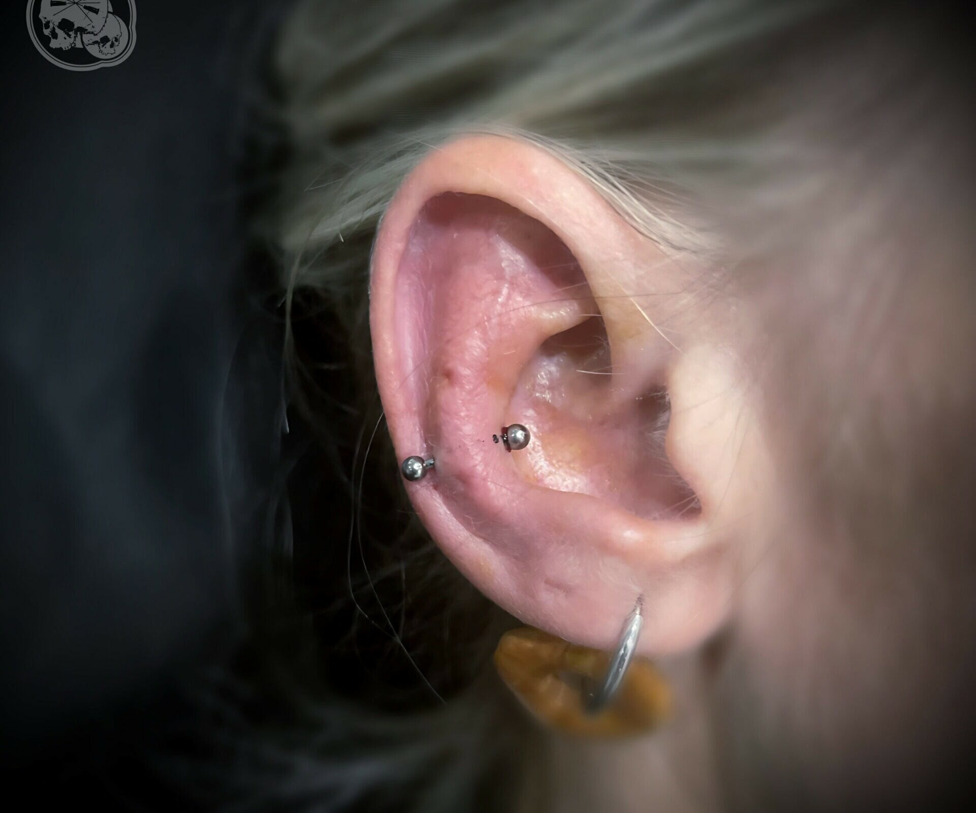 Piercing cartilage — Snug titane | Boulogne-sur-Mer & Côte d’Opale (Calais, Wimereux) – The Needles Factory Snug piercing (anti-hélix) en titane – The Needles Factory