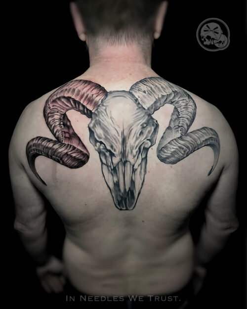 Tatouage crâne de bélier grand dos – The Needles Factory Boulogne-sur-Mer Tatouage crâne de bélier sur tout le haut du dos à Boulogne-sur-Mer