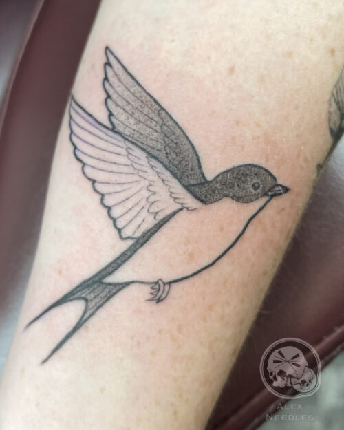 Tatouage hirondelle noir et gris style traditionnel – The Needles Factory Boulogne-sur-Mer
