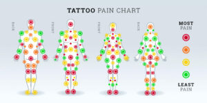 carte de douleur tatouage — illustration des zones les plus douloureuses et les plus confortables selon la partie du corps (source : Barber DTS)