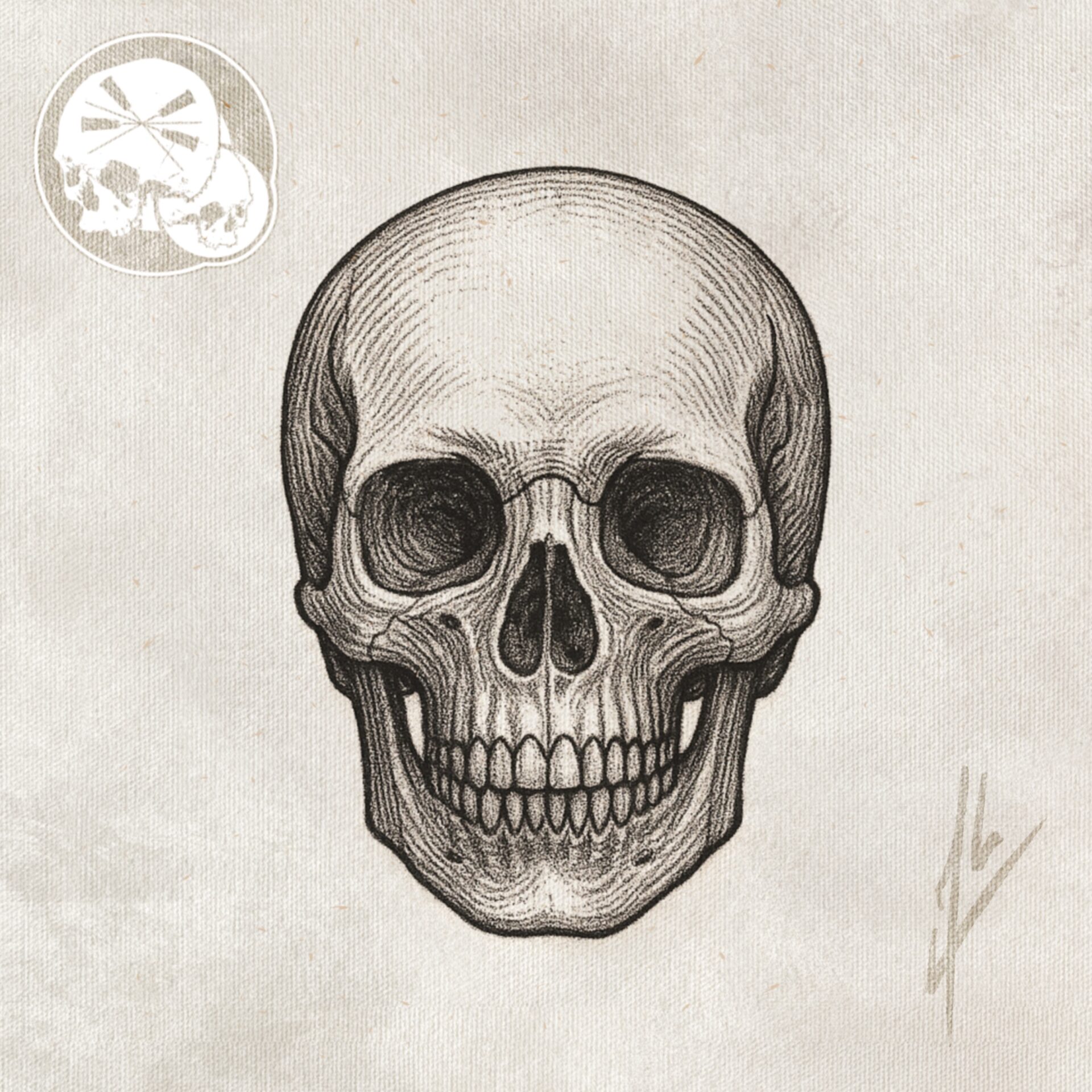 Tatouage crâne style gravure en noir et gris, ombrages fins — The Needles Factory Boulogne-sur-Mer