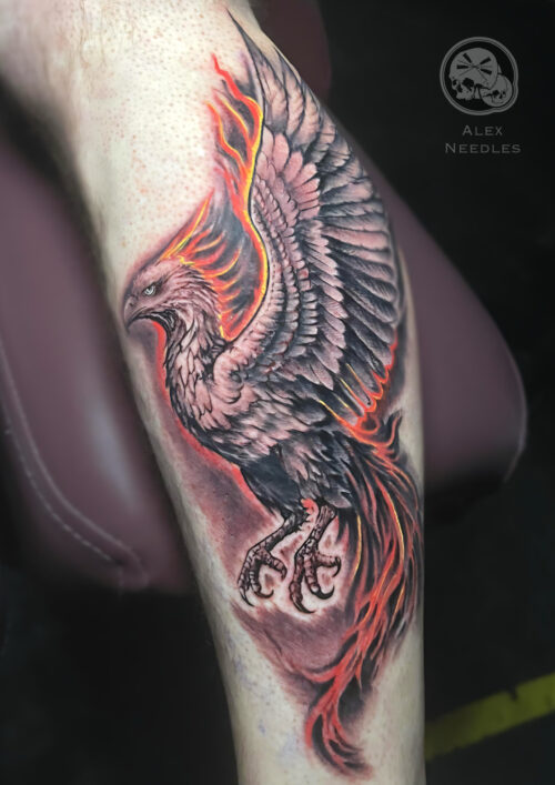Tatouage phénix réaliste au mollet, noir et gris avec liserés rouge/orange — Alex Needles, Boulogne-sur-Mer