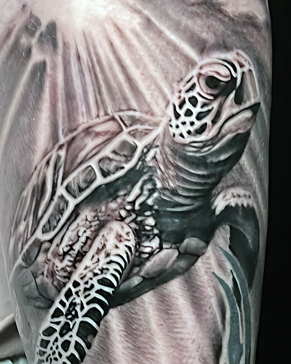 portrait tortue marine réaliste sur avant-bras, rayons de lumière et textures de carapace