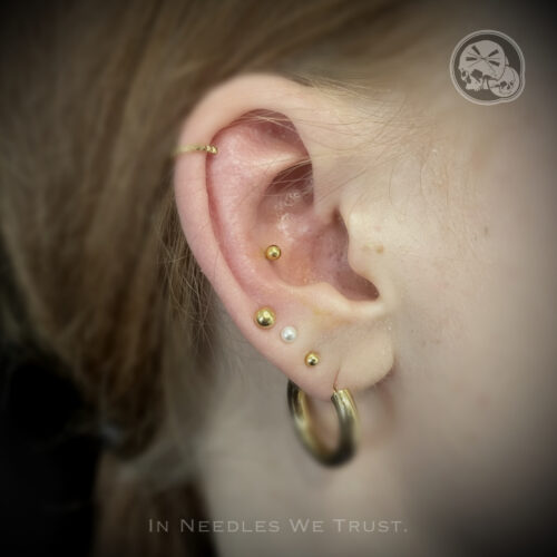 Piercing conch en PVD Gold – The Needles Factory Boulogne-sur-Mer Piercing conch en PVD Gold sur oreille, réalisé à Boulogne-sur-Mer chez The Needles Factory