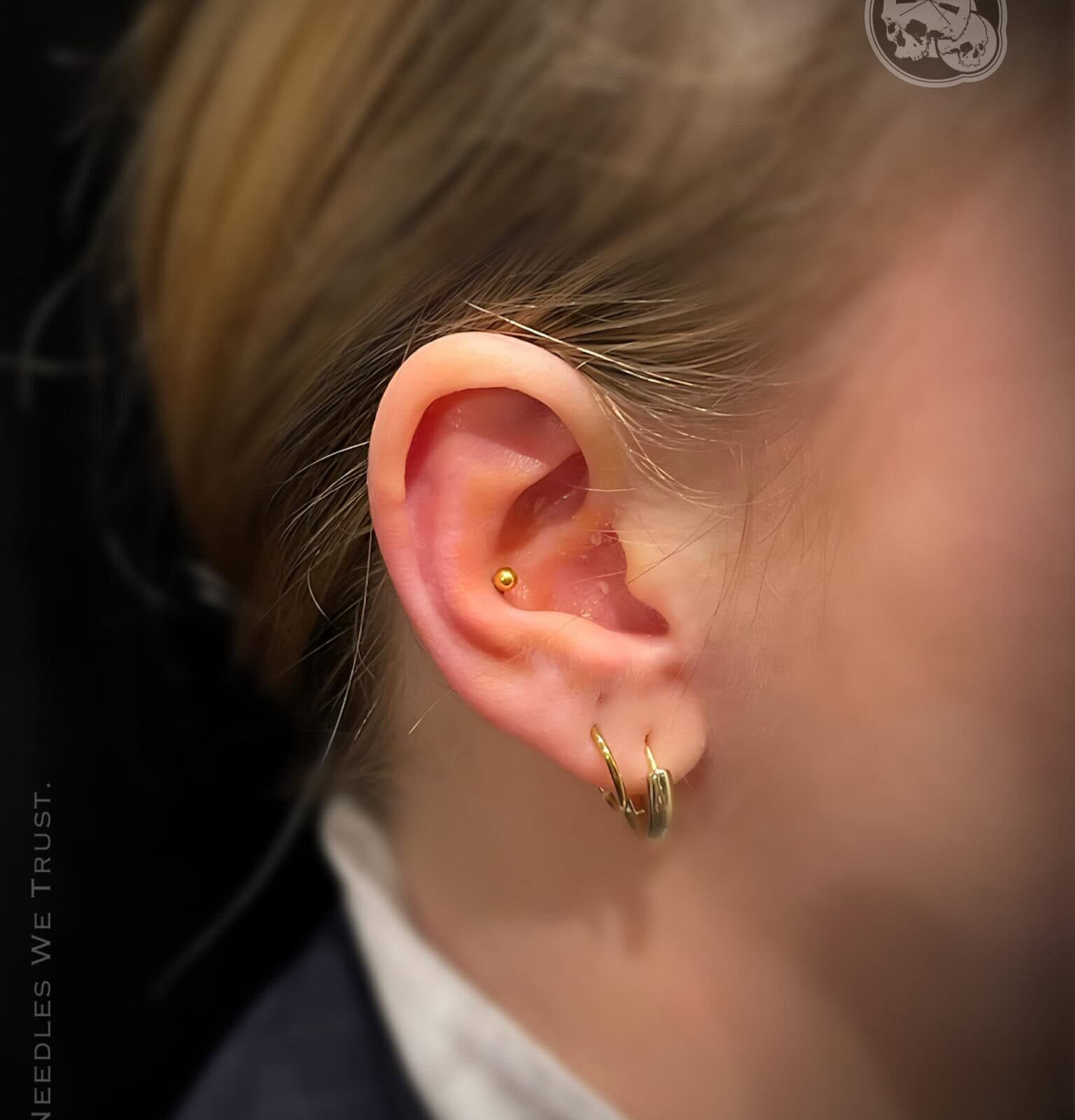 Piercing conch PVD gold — Boulogne-sur-Mer | The Needles Factory Piercing conch oreille + anneaux lobe, bijou titane PVD gold, réalisé à Boulogne-sur-Mer – The Needles Factory.
