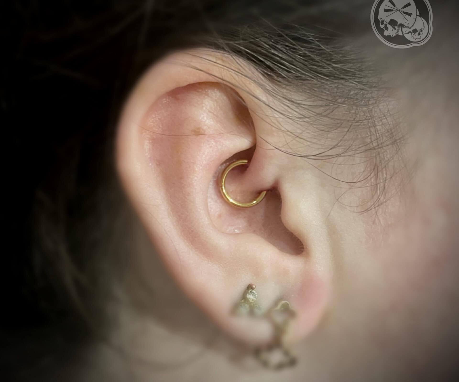 Piercing daith avec anneau doré en PVD Gold – The Needles Factory Boulogne-sur-Mer Piercing daith avec anneau doré en titane PVD Gold chez The Needles Factory à Boulogne-sur-Mer – idée de bijou élégant pour les fêtes de Noël dans le Pas-de-Calais.