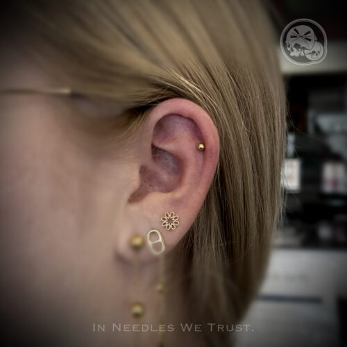 Piercing hélix discret en PVD Gold– The Needles Factory Boulogne-sur-Mer Piercing hélix discret en PVD Gold sur oreille à Boulogne-sur-Mer
