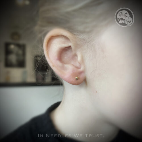 Premiers piercings lobes en PVD Gold – The Needles Factory Boulogne-sur-Mer Premiers piercings lobes en bijou doré PVD Gold chez perceur à Boulogne-sur-Mer