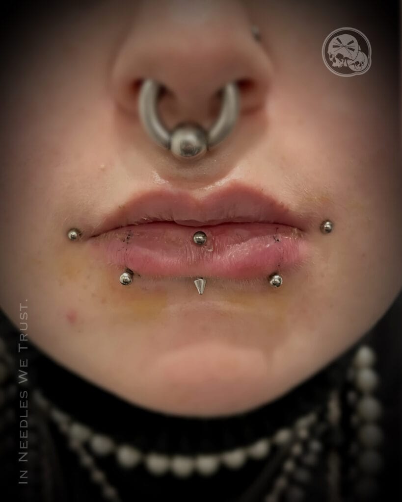 Piercing Snake Bites (double labret) réalisé à Boulogne-sur-Mer, Pas-de-Calais (Côte d’Opale) — The Needles Factory.