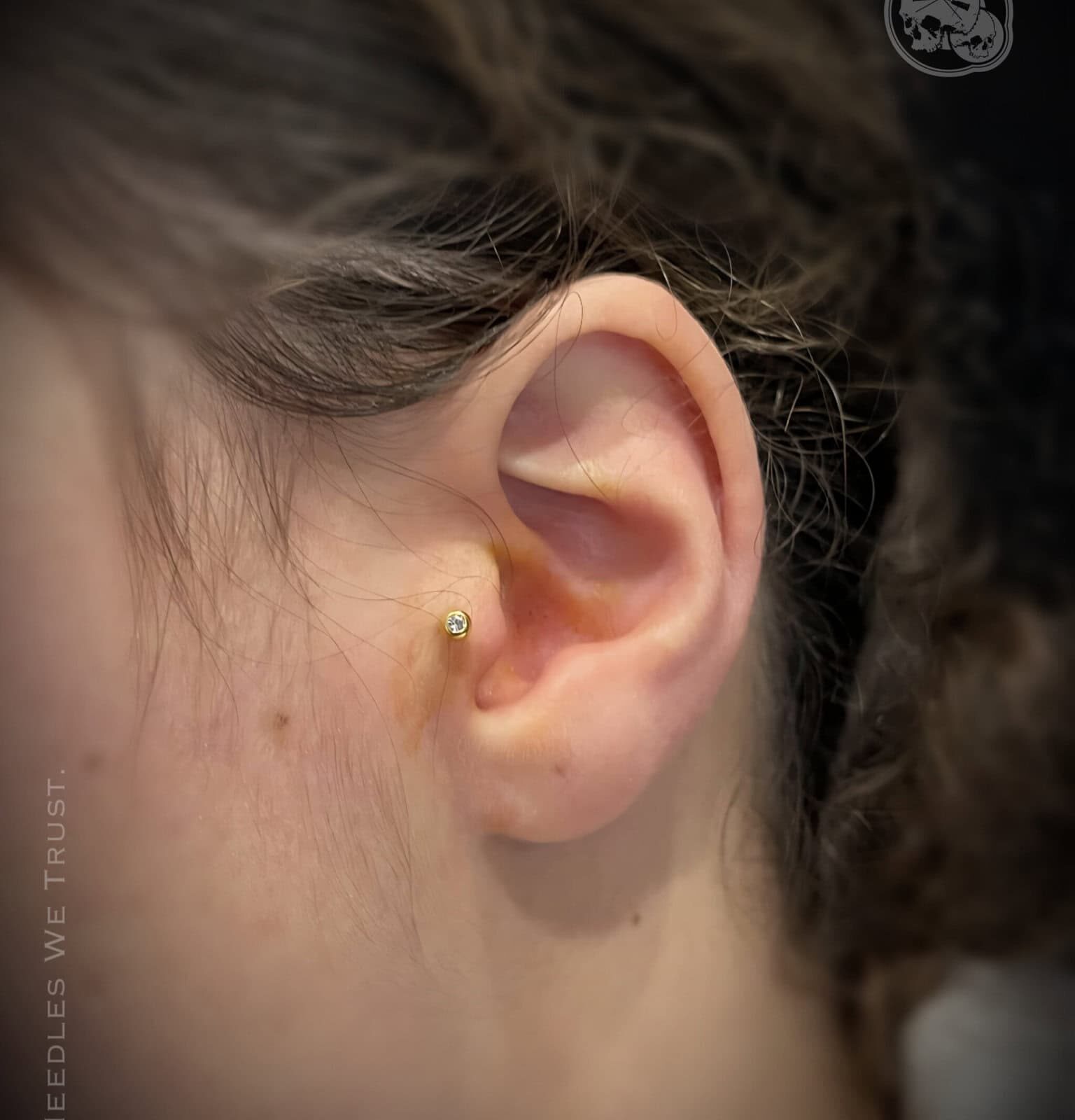 Piercing tragus strass PVD gold — Boulogne-sur-Mer | The Needles Factory Piercing tragus avec strass, bijou titane PVD gold, réalisé à Boulogne-sur-Mer – The Needles Factory.