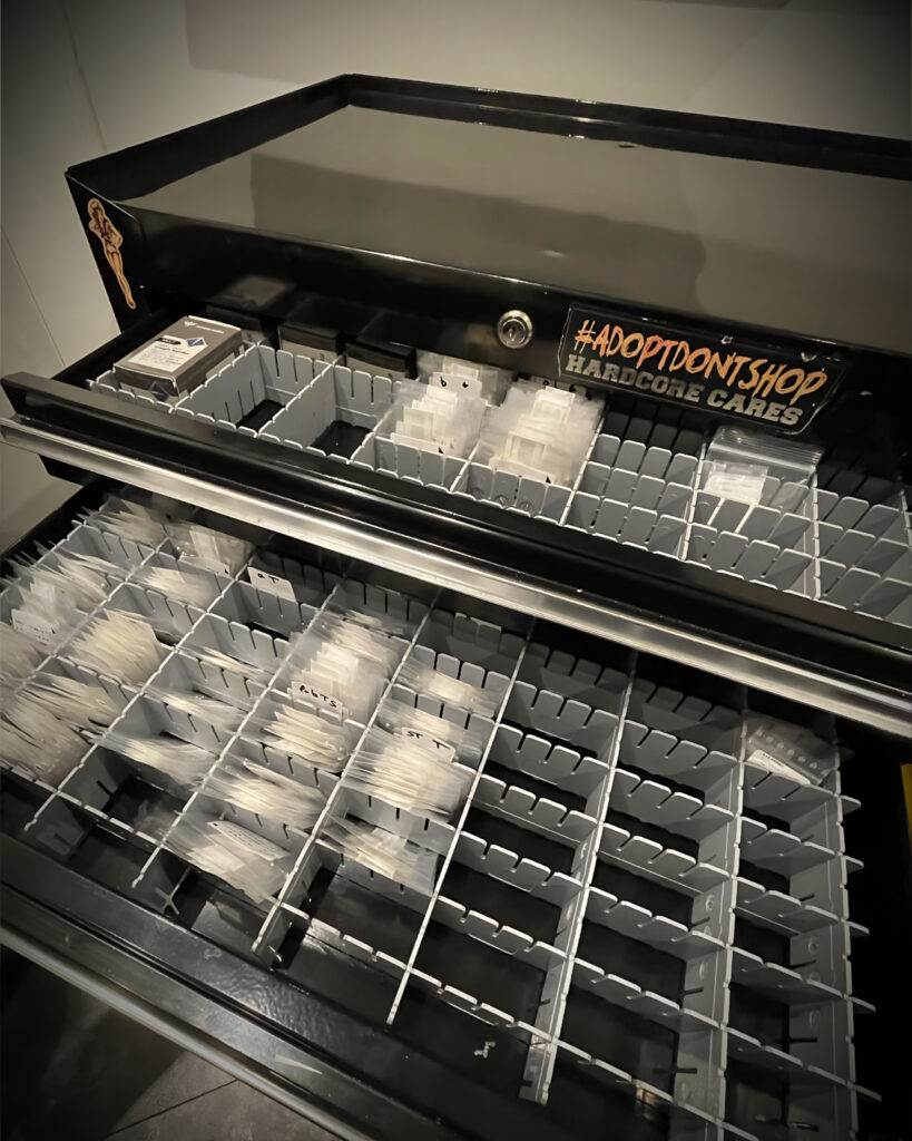 Organisation des tiroirs : aiguilles stériles + bijoux titane/PVD gold à Boulogne-sur-Mer (62) – The Needles Factory