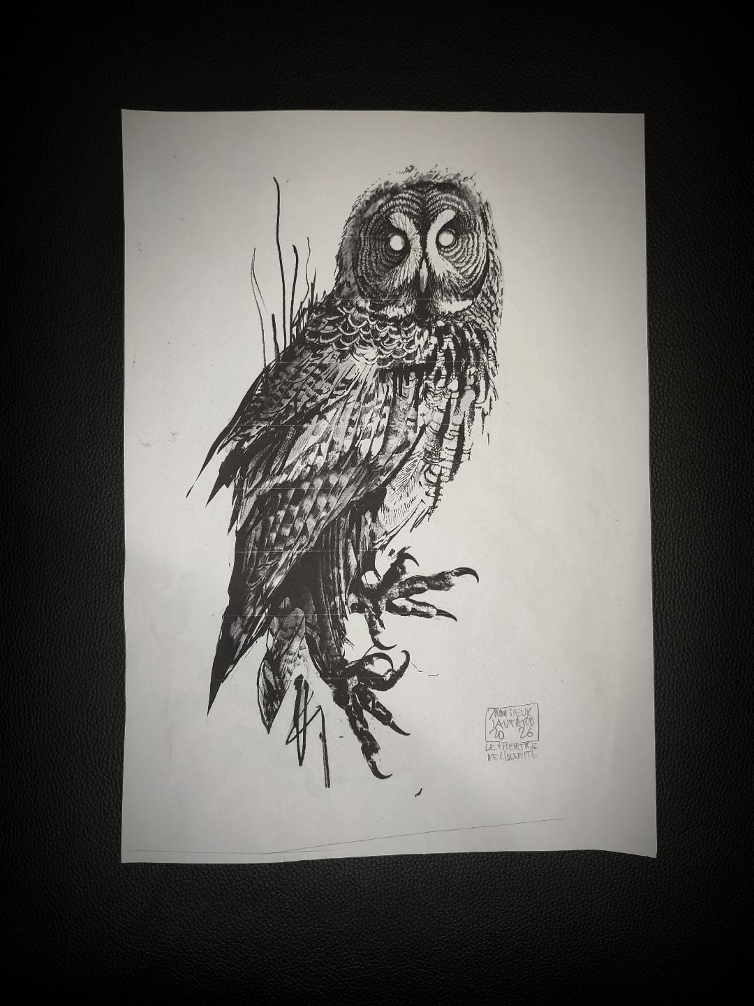 Projet de tatouage de chouette noire par Monsieur Lautard
